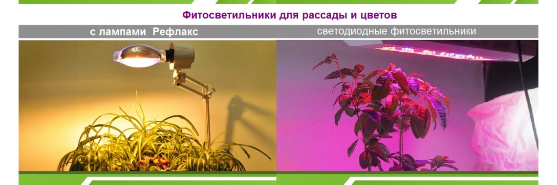 Светильники с Led  и ДнаЗ лампами