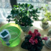 Система полива для комнатных растений "Easy Grow-2"